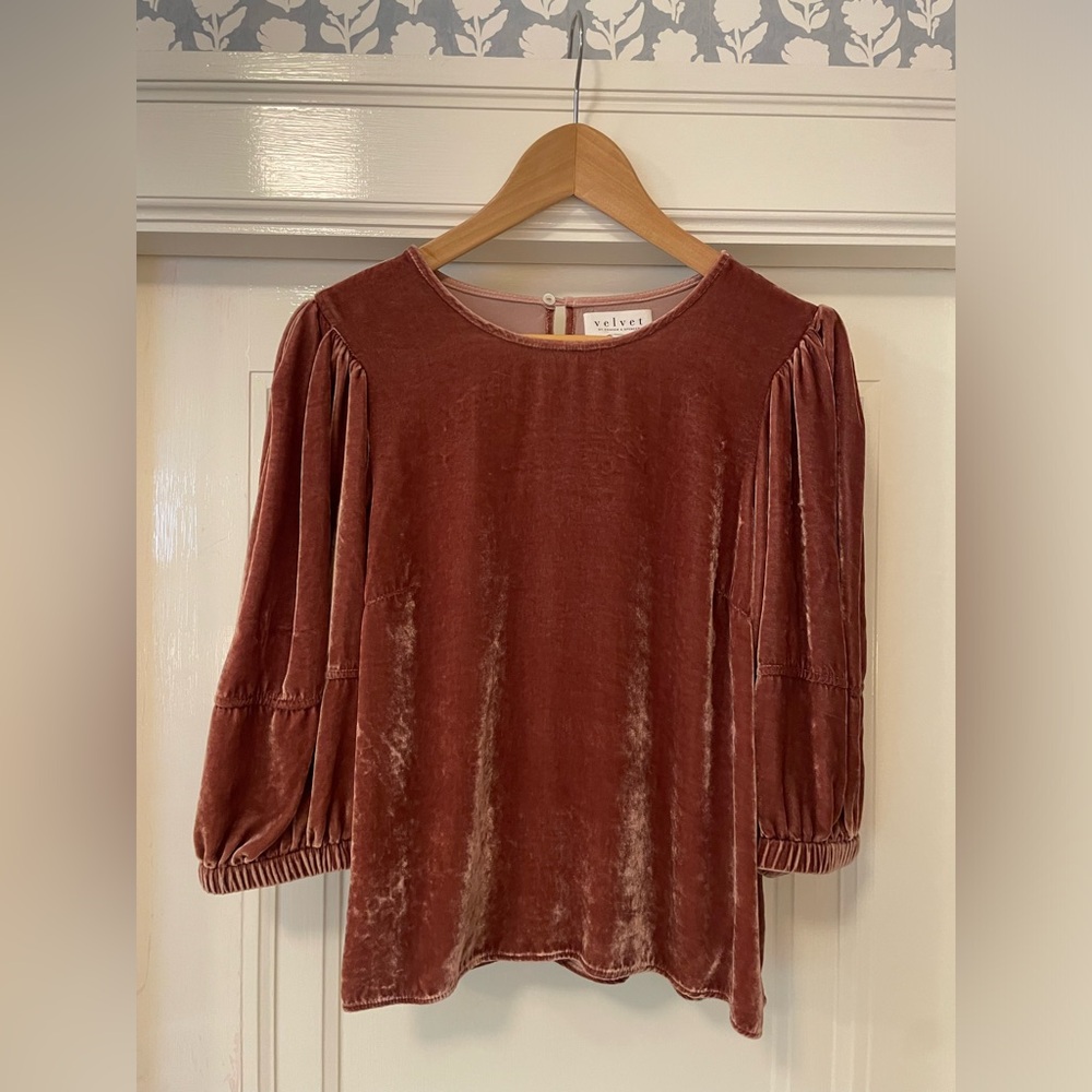 Velvet by Graham and Spencer Nancy silk velvet blouse